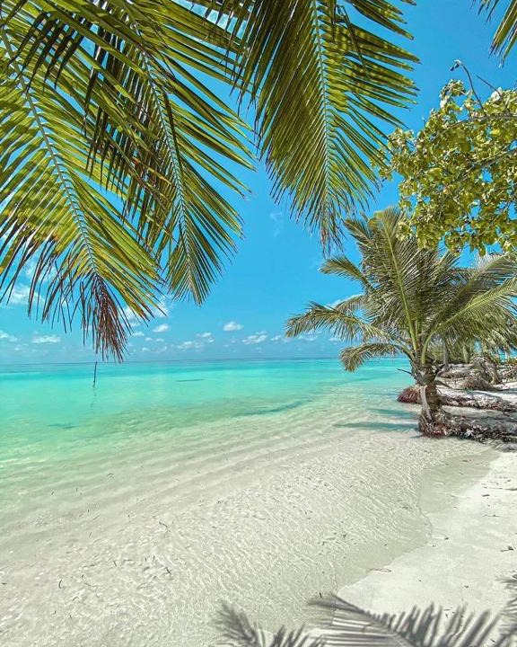 Kaashidhoo House | Happy Feet Inn