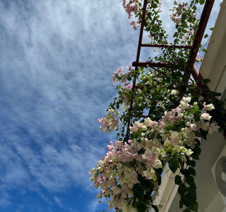 Dhigurah House | Naares Inn Dhigurah