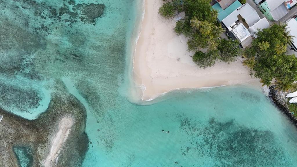 Mahibadhoo House | Oceanvine Maldives