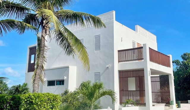 Charming spacious 2-bedroom villa with AC, pool, ocean views in Providenciales in Providenciales
