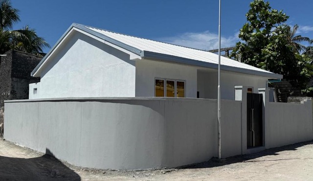 Daisy Stay Dhaandhoo
