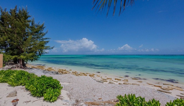 Golden Pelican – Ocean Front Lower Level Suite on North Caicos in North Caicos