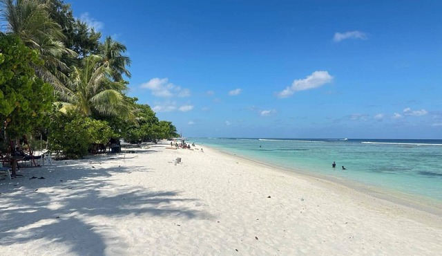 Ripple Beach Inn