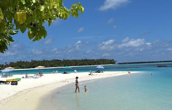 VelaaVani - Turtle Hive Dhiffushi in Dhiffushi