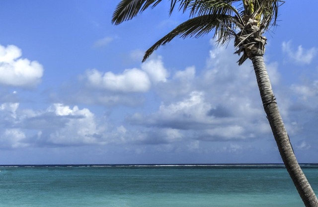 Grace Bay Beach Ocean Villas, Oleander Villa. Rated #1 On Trip Advisor. in Providenciales