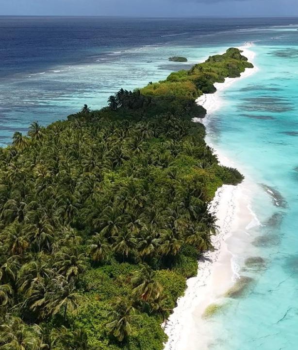 Dhigurah Hotel | Lagoon Dhigurah