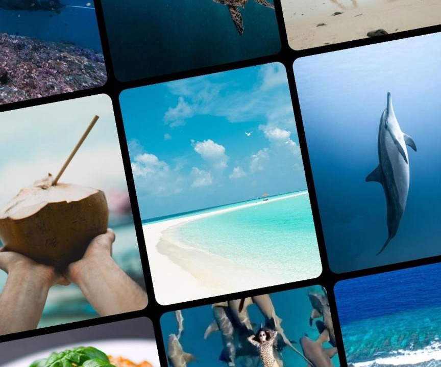 Thulusdhoo Island Hotel | VelaaOlhu - Turtle Hive Thulusdhoo