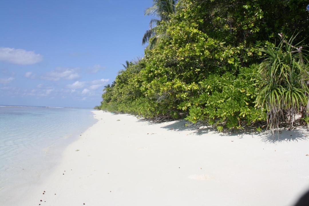 Dhigurah House | Boutique Beach All Inclusive Diving Hotel