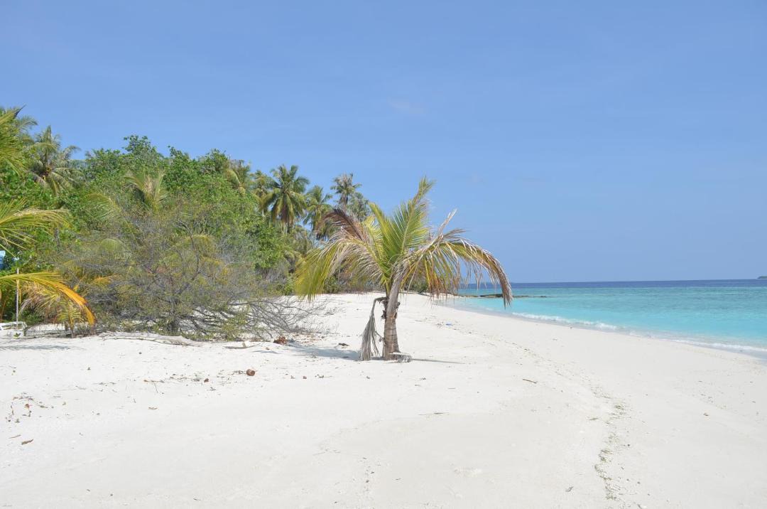 Manadhoo Hotel | Sunny Day Inn Maldives