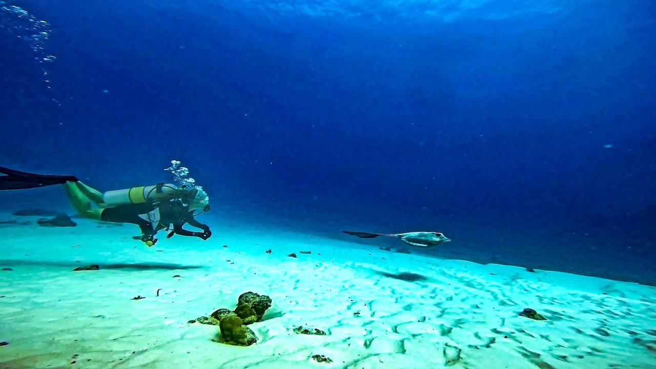 Photo of Others in Gemanafushi