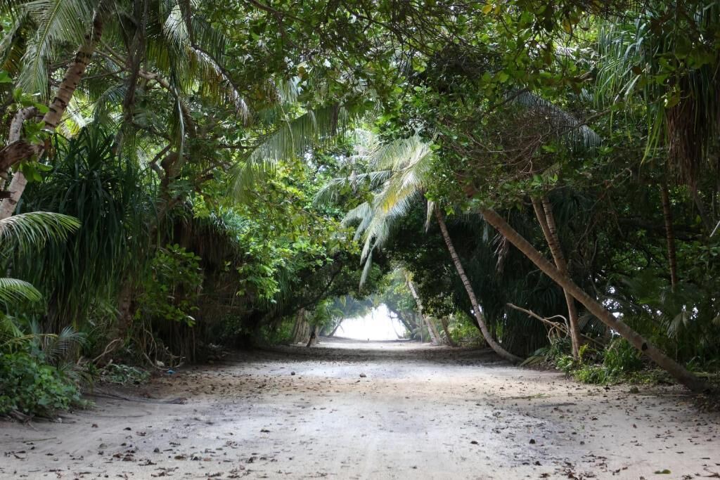 Photo of Others in Dharavandhoo