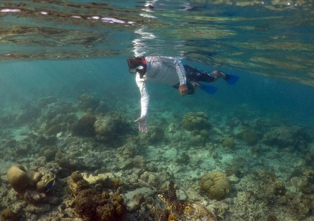Photo of Others in Dharavandhoo