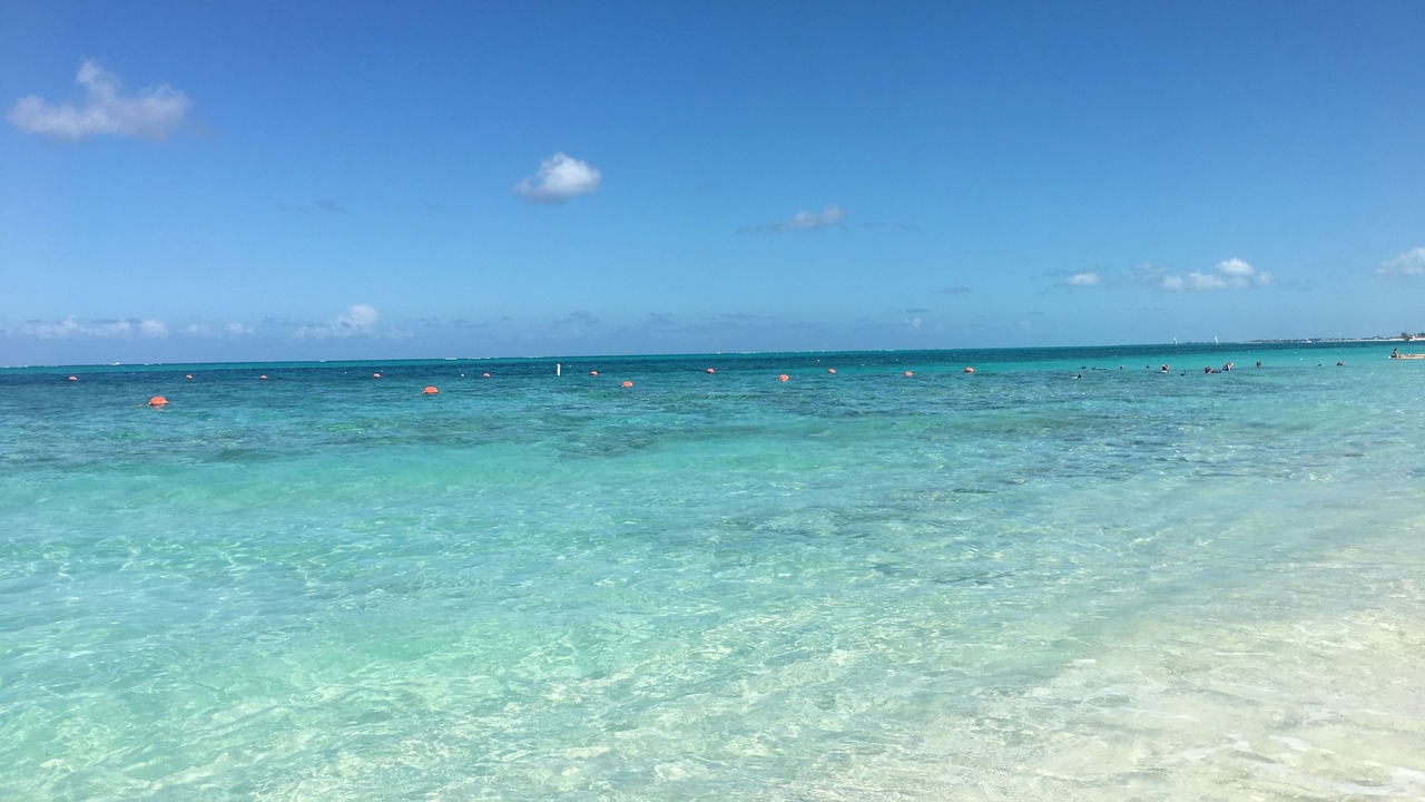 Photo of Others in The Bight