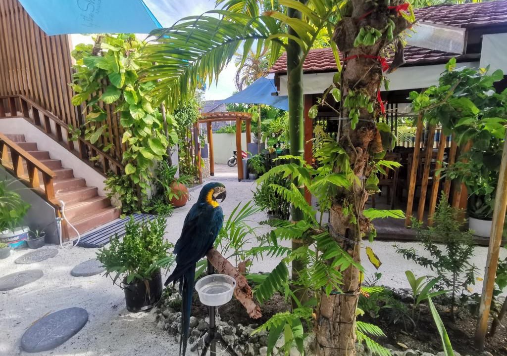 Photo of Outdoor in Hangnaameedhoo