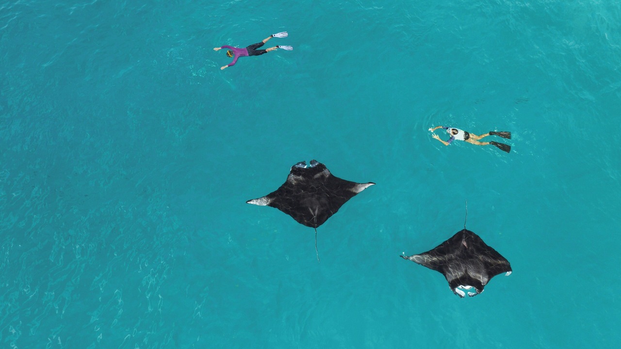 Photo of Outdoor in Miriandhoo Island
