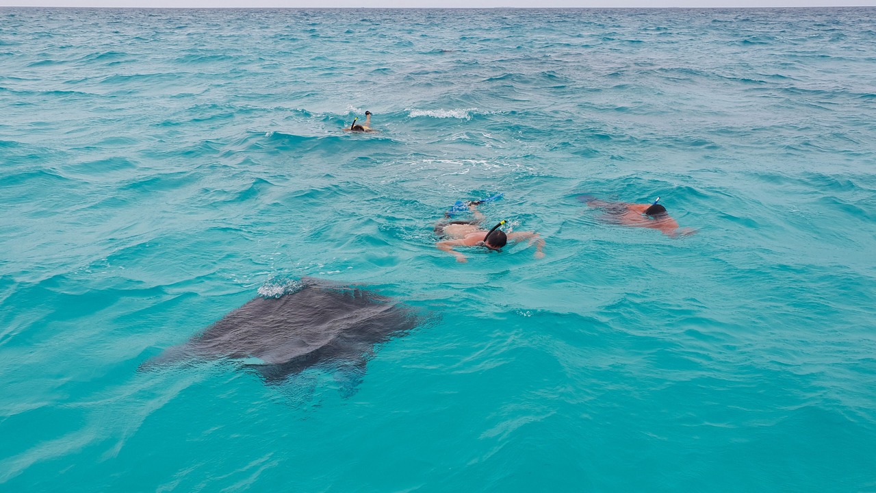 Photo of Others in Ukulhas