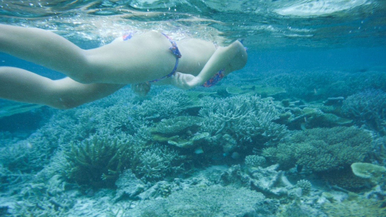 Photo of Others in Ukulhas