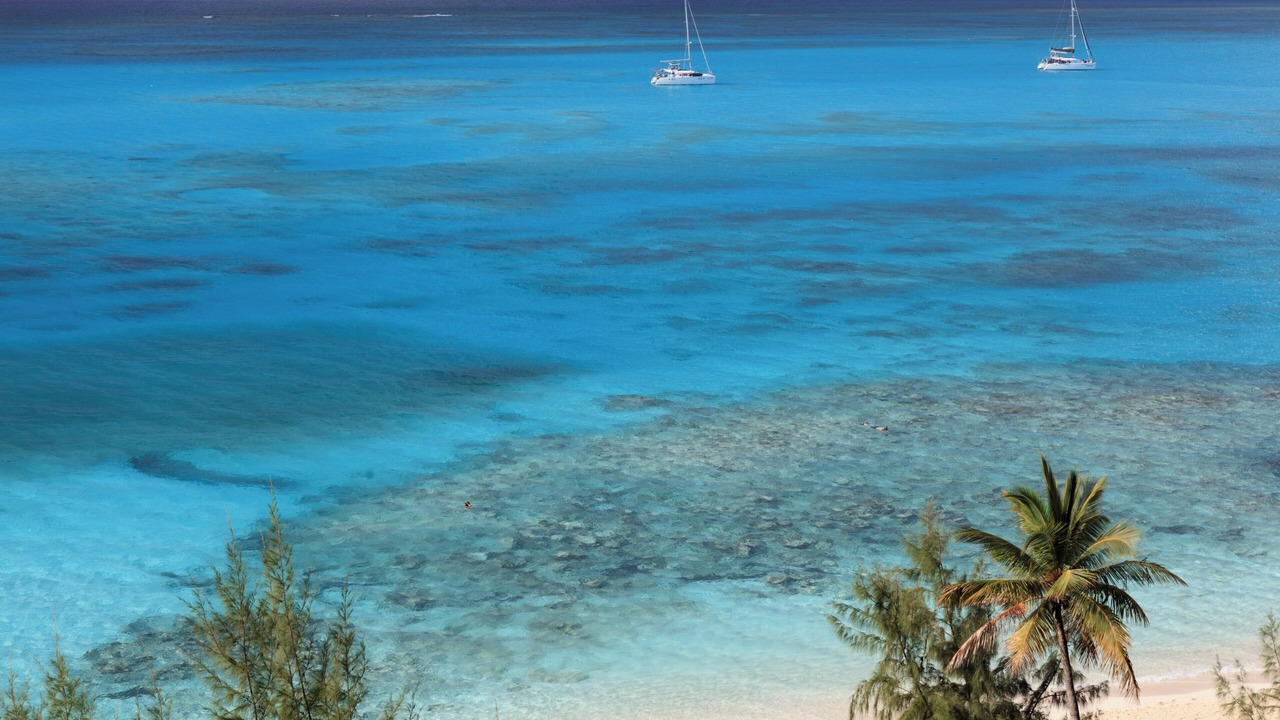 Photo of Others in The Bight