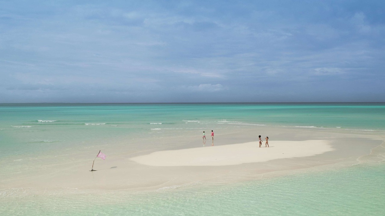 Photo of Others in The Bight