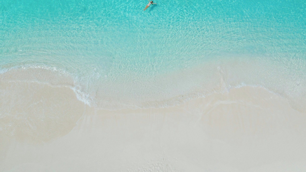 Photo of Others in The Bight