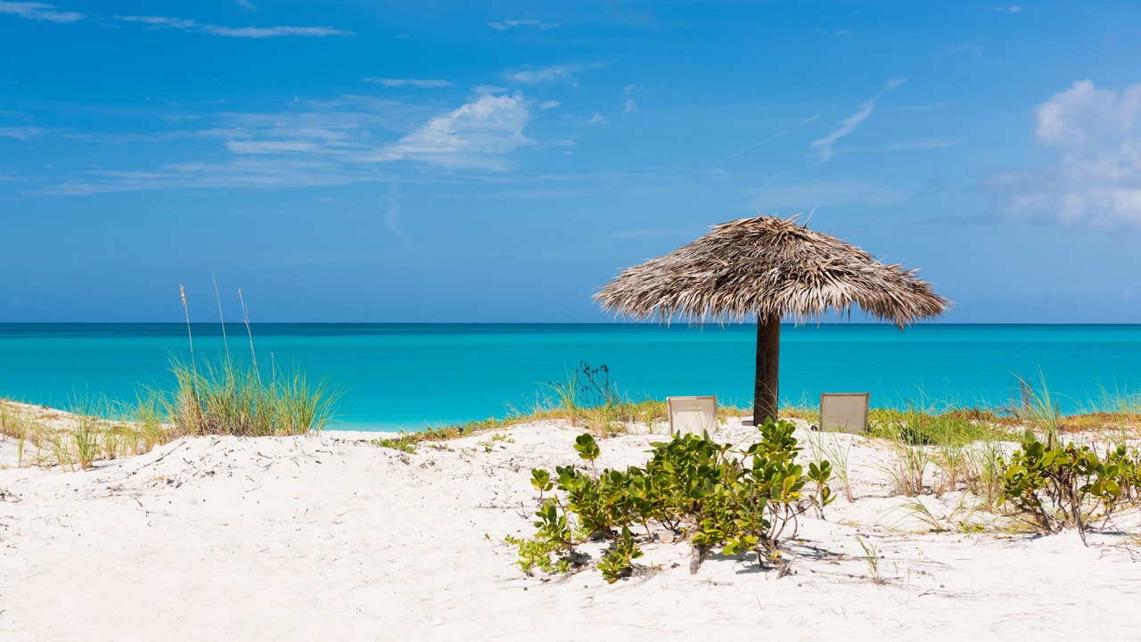 Photo of Others in Pine Cay