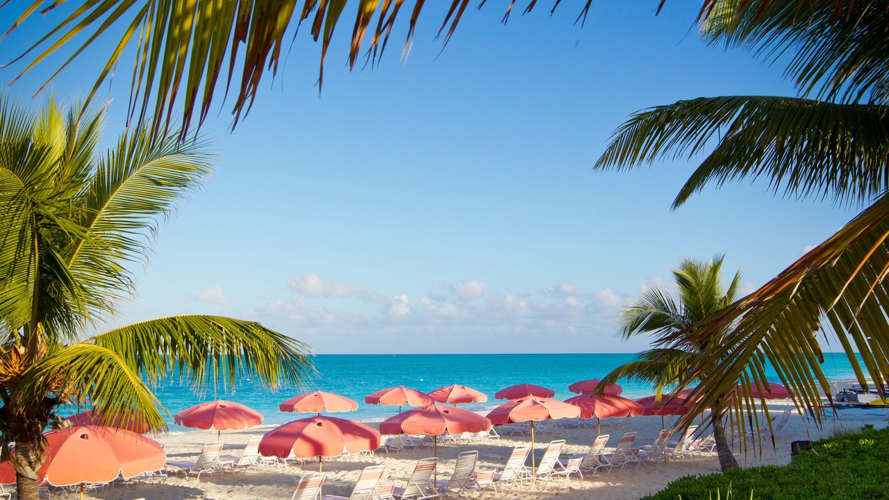 Photo of Others in Grace Bay