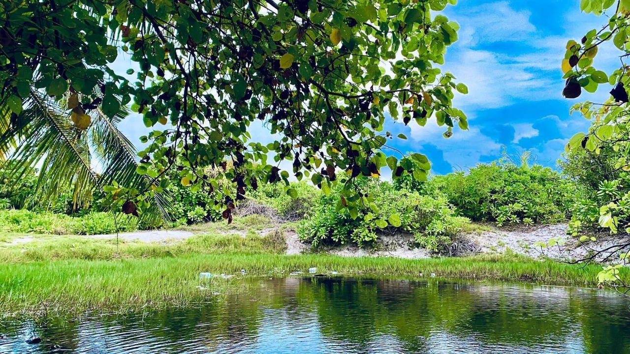 Photo of Others in Fenfushi