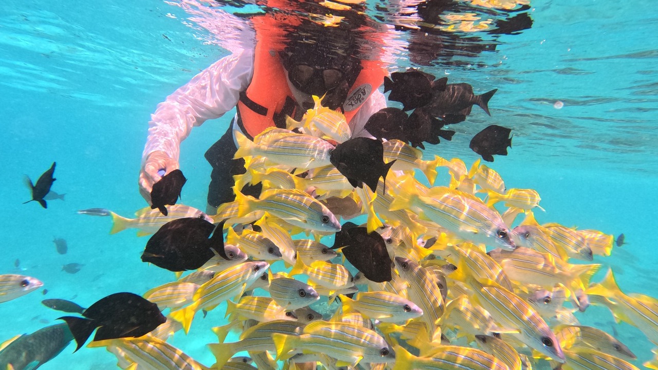 Photo of Outdoor in Rasdhoo