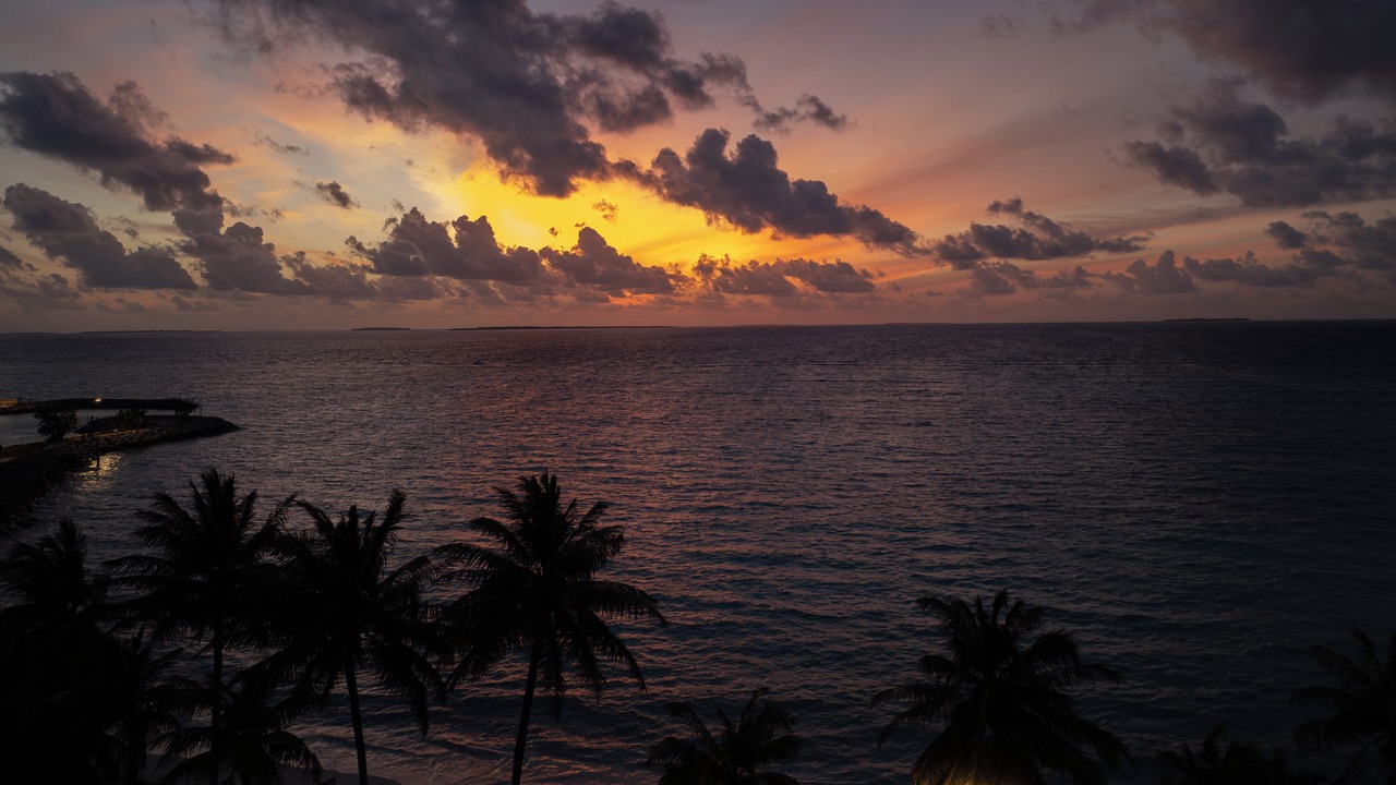 Photo of Others in Hanimaadhoo