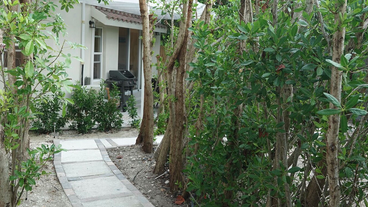 Photo of Others in Long Bay Hills