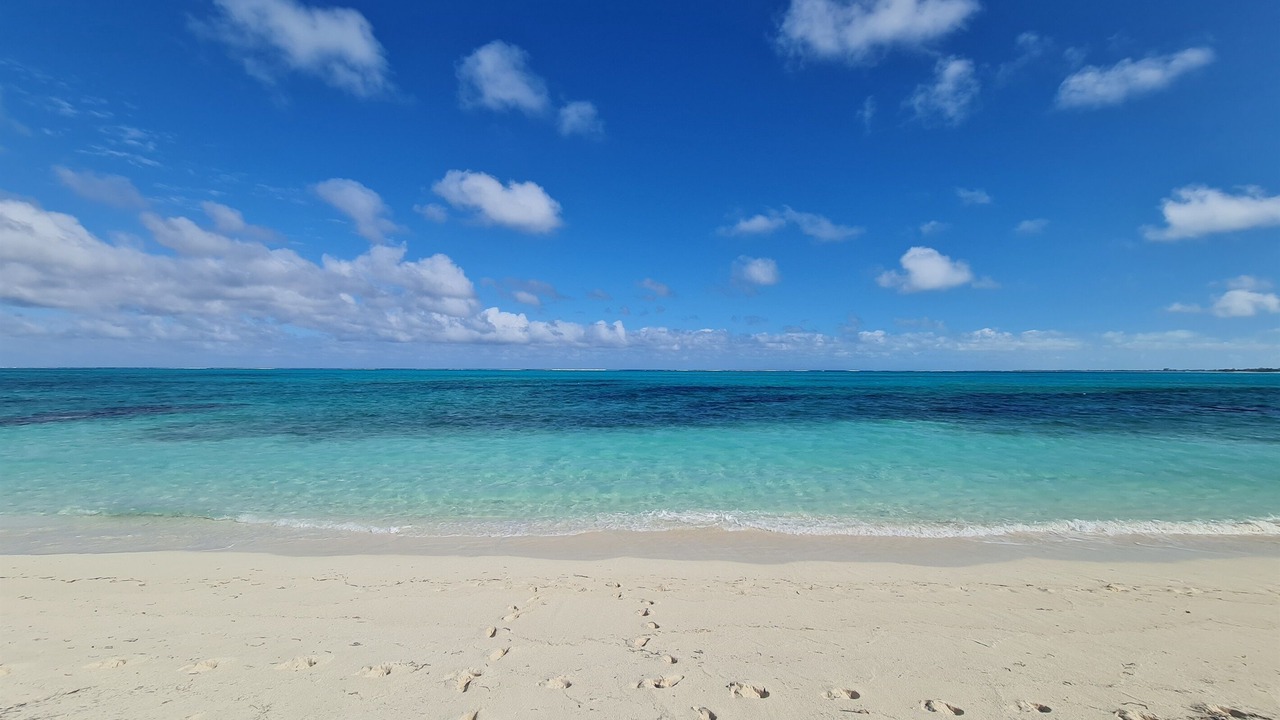 Photo of Others in Grace Bay West