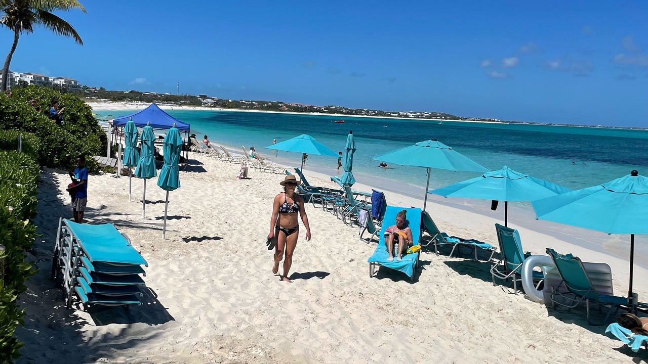 Photo of Others in The Bight
