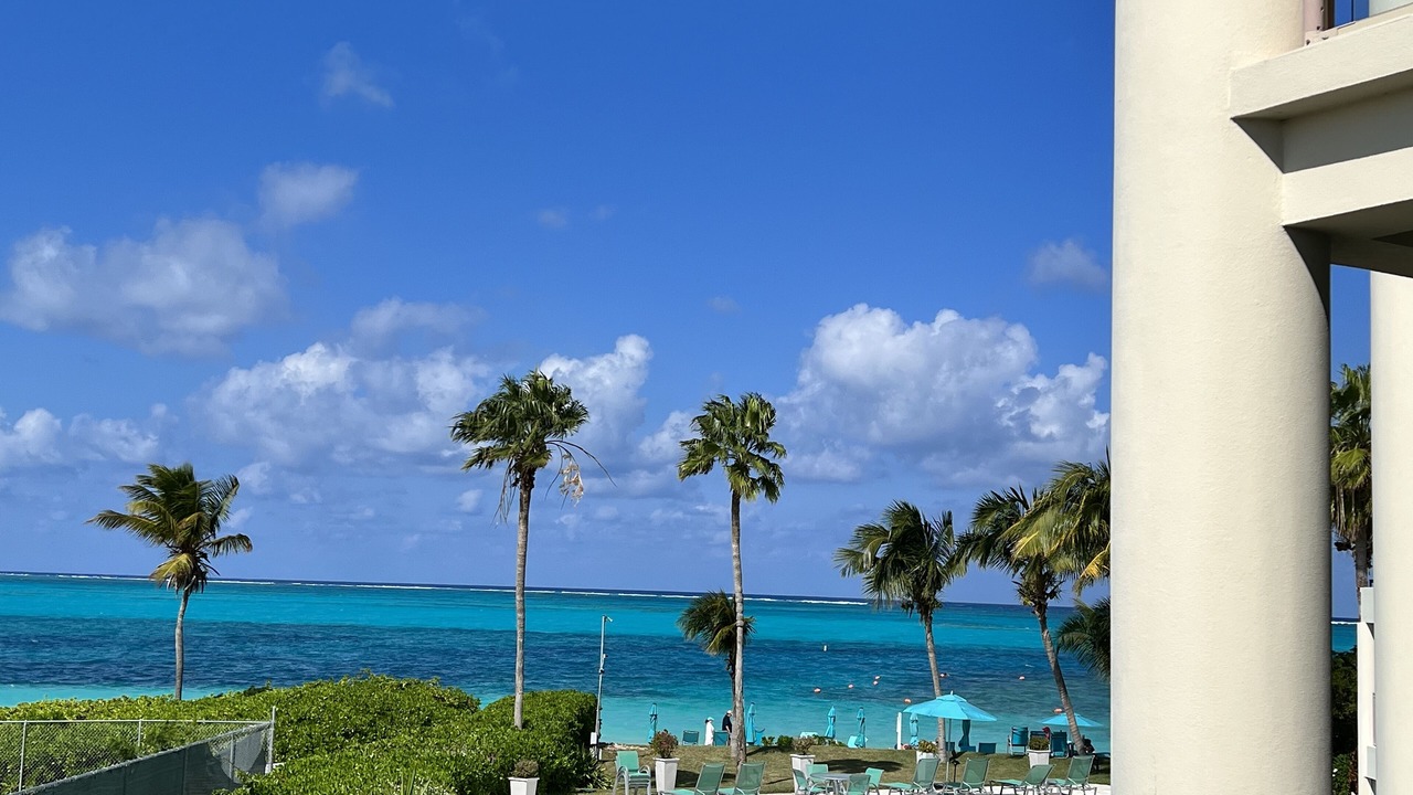 Photo of Others in The Bight