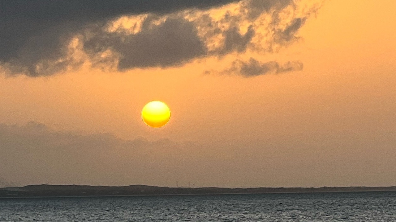 Photo of Others in The Bight