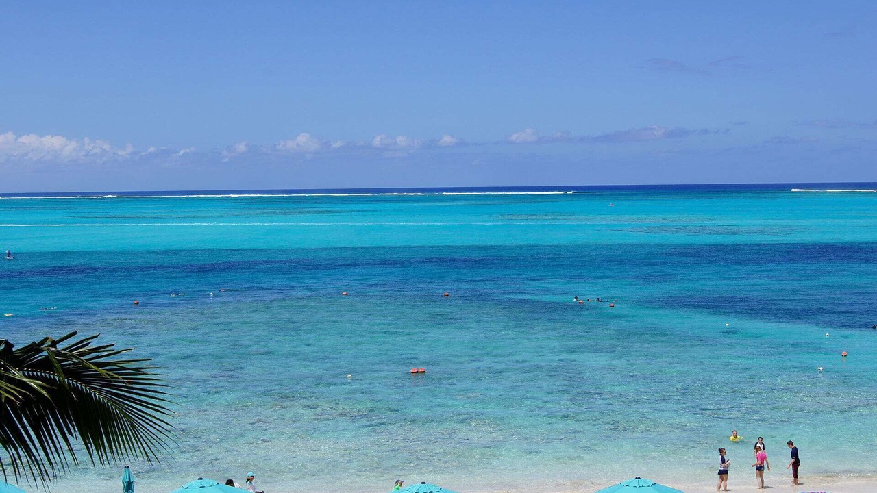 Photo of Others in The Bight