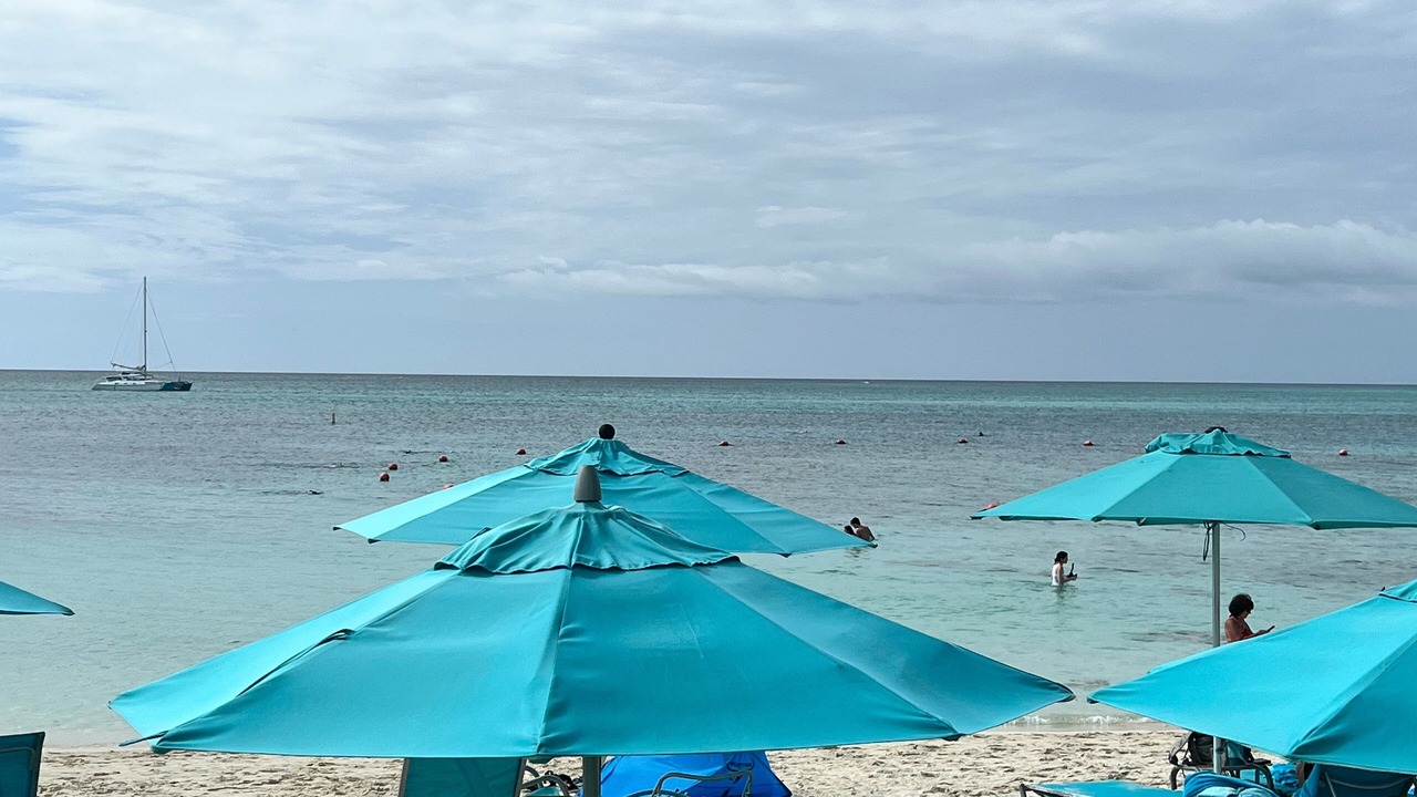 Photo of Outdoor in The Bight