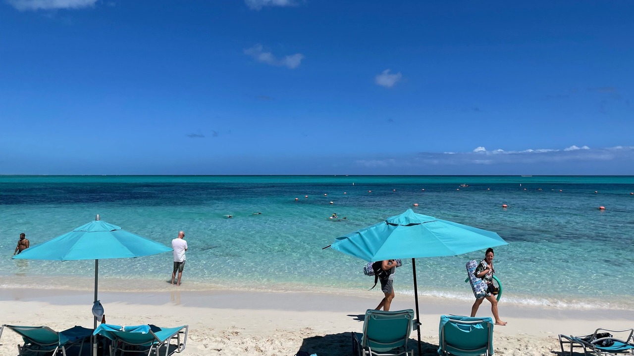 Photo of Others in The Bight
