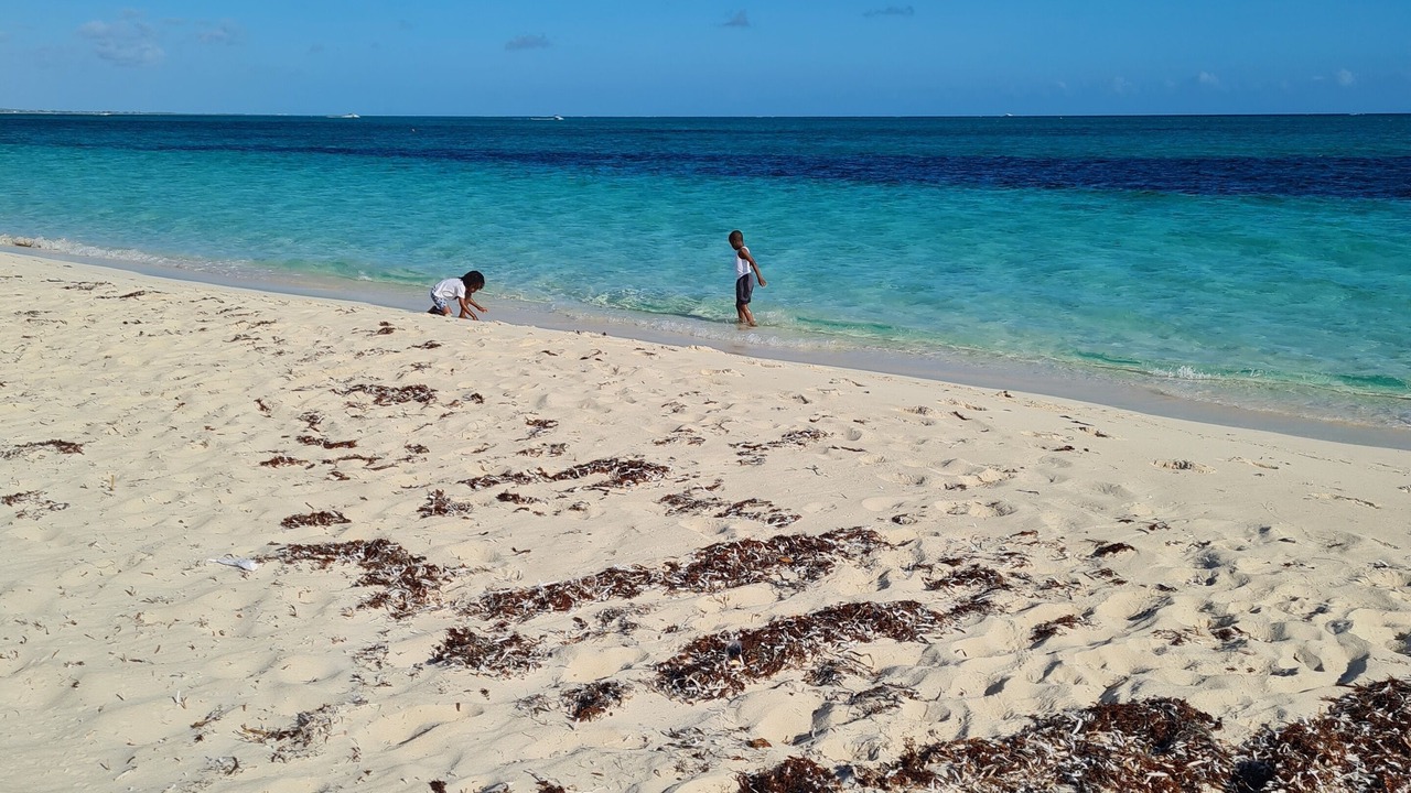 Photo of Others in Ocean Point
