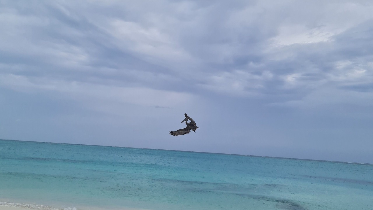 Photo of Others in Ocean Point