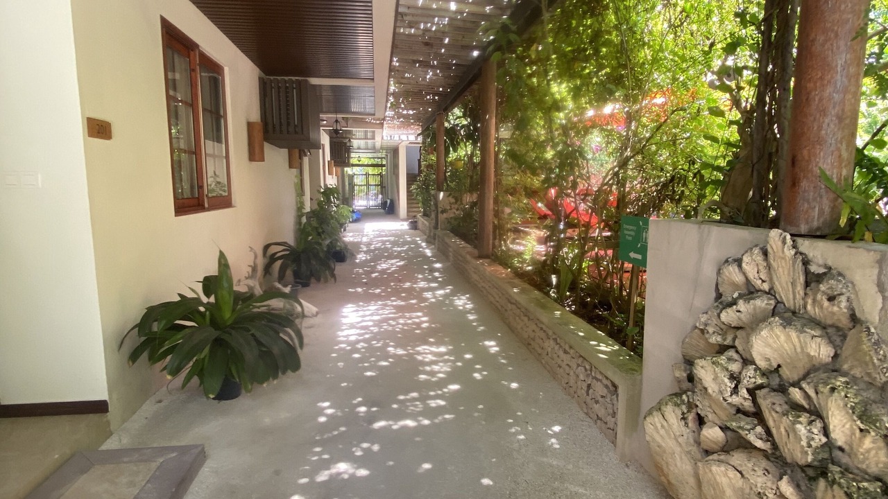 Photo of Outdoor in Hanimaadhoo