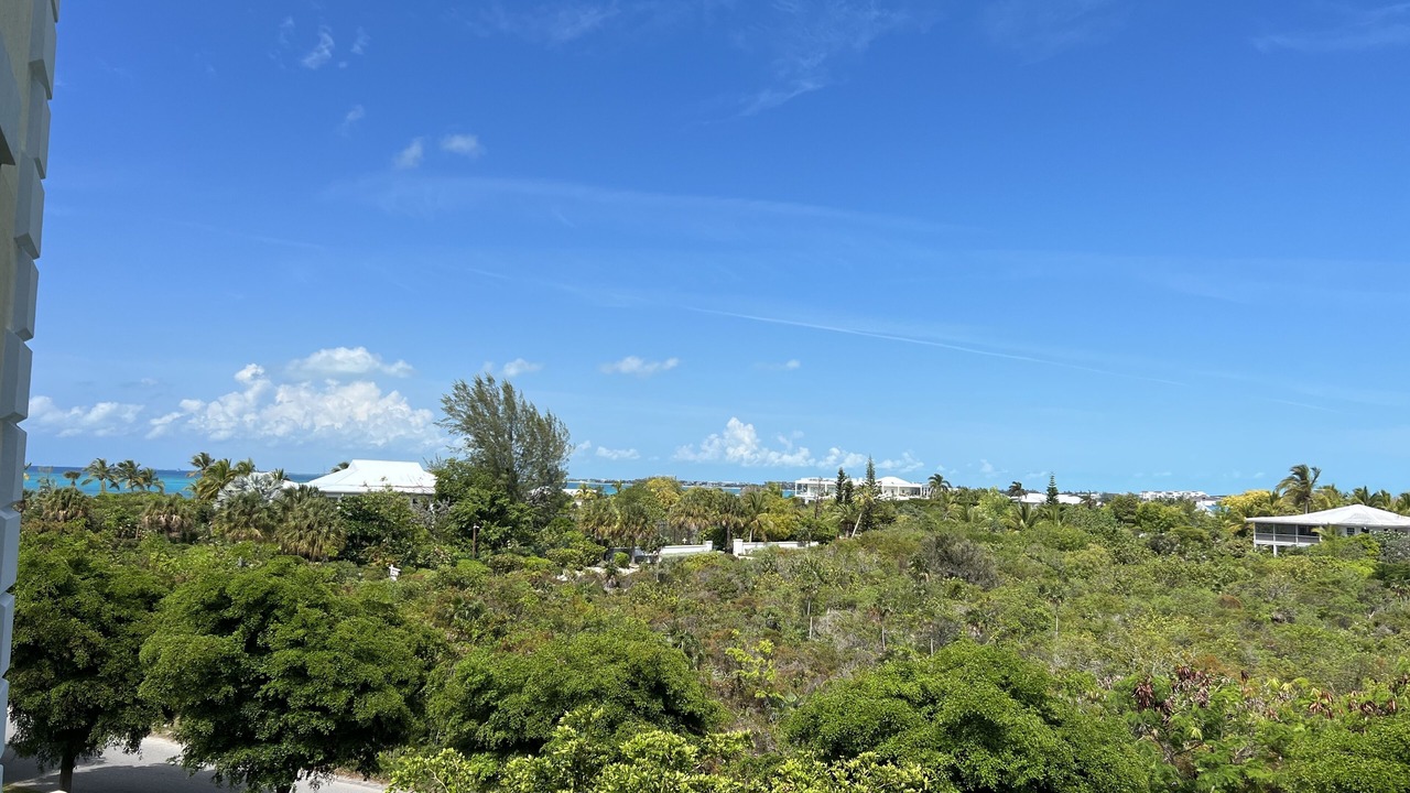 Photo of Others in The Bight