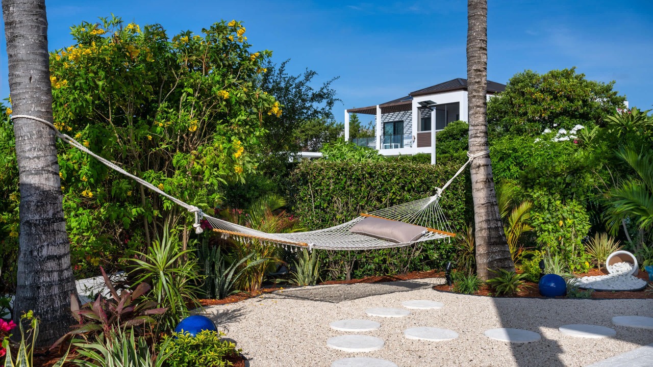 Photo of Outdoor in Long Bay