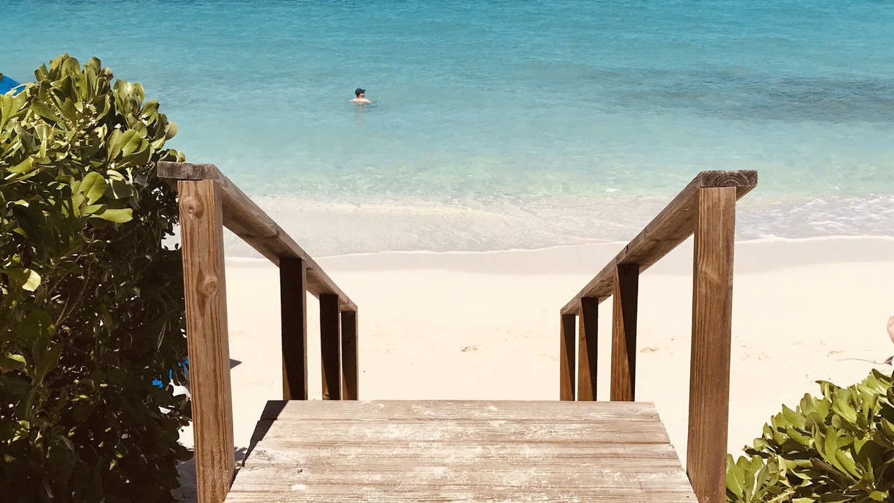 Photo of Others in The Bight