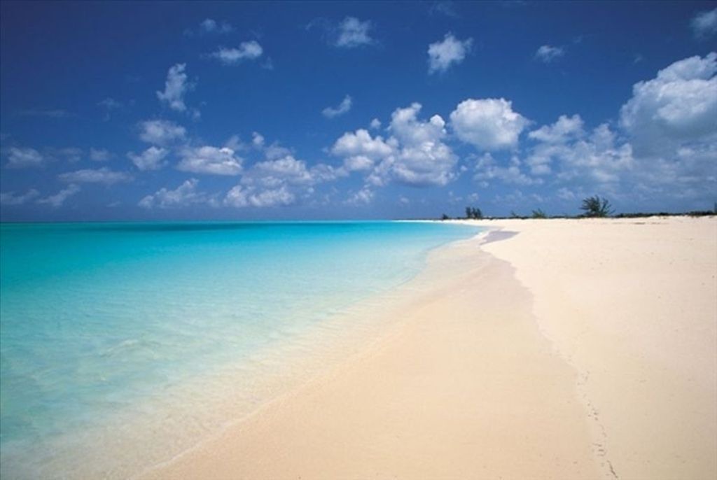 Photo of Others in The Bight
