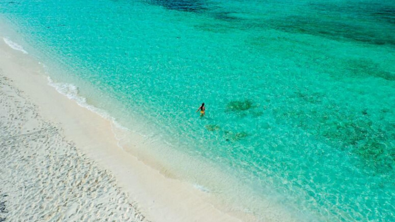 Photo of Others in The Bight