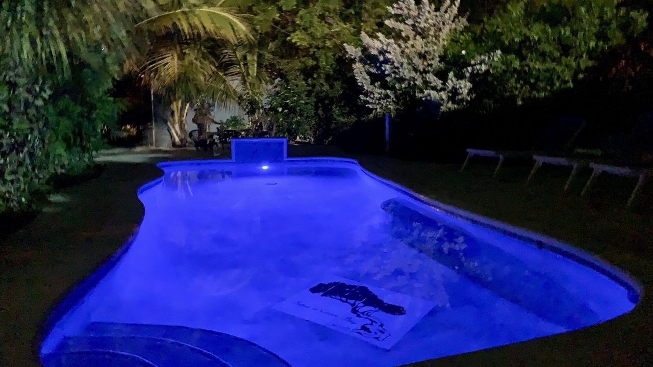 Photo of Outdoor in The Bight