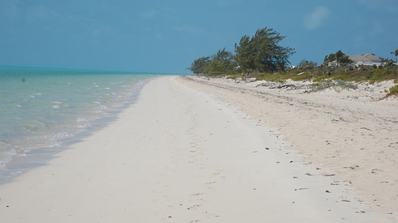 Photo of Others in Long Bay