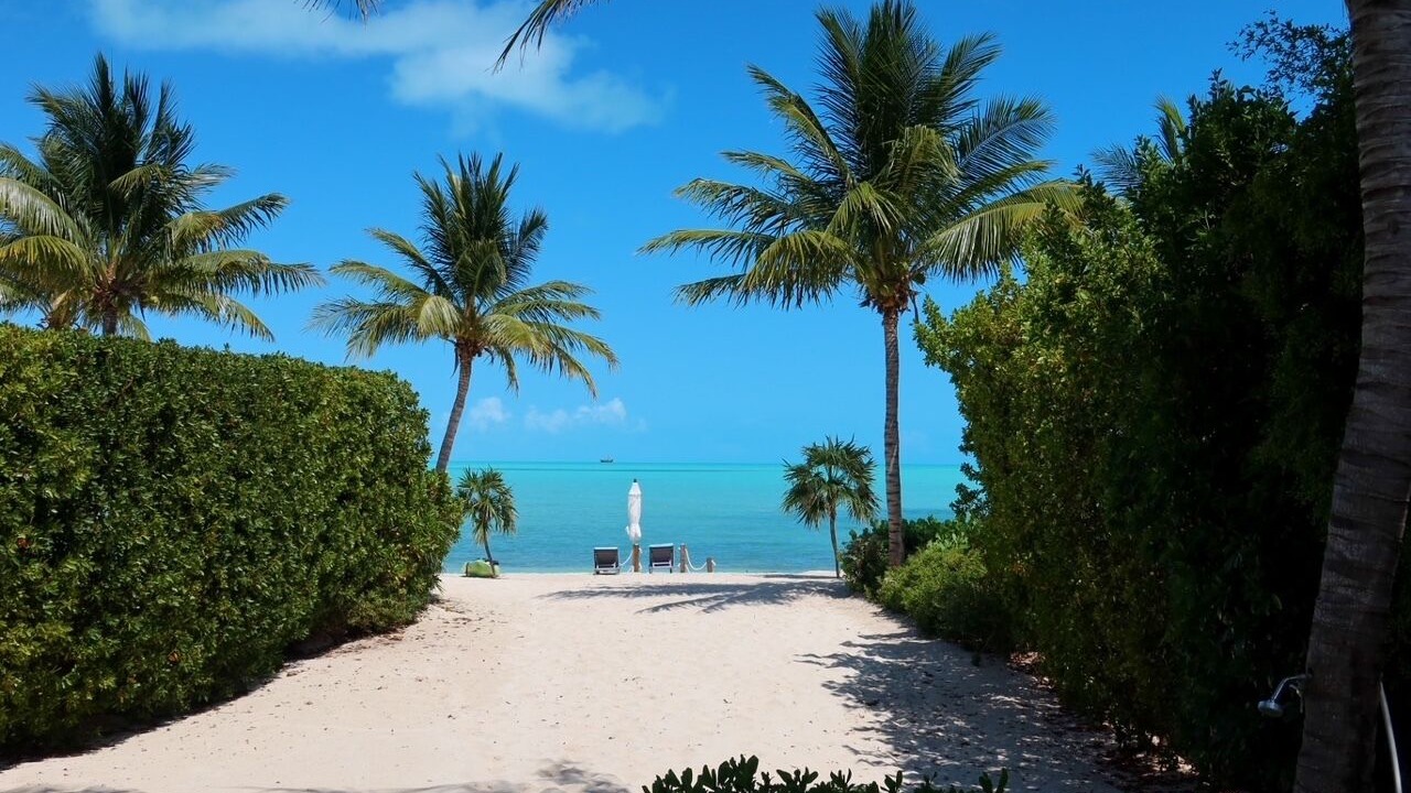 Photo of Others in Long Bay