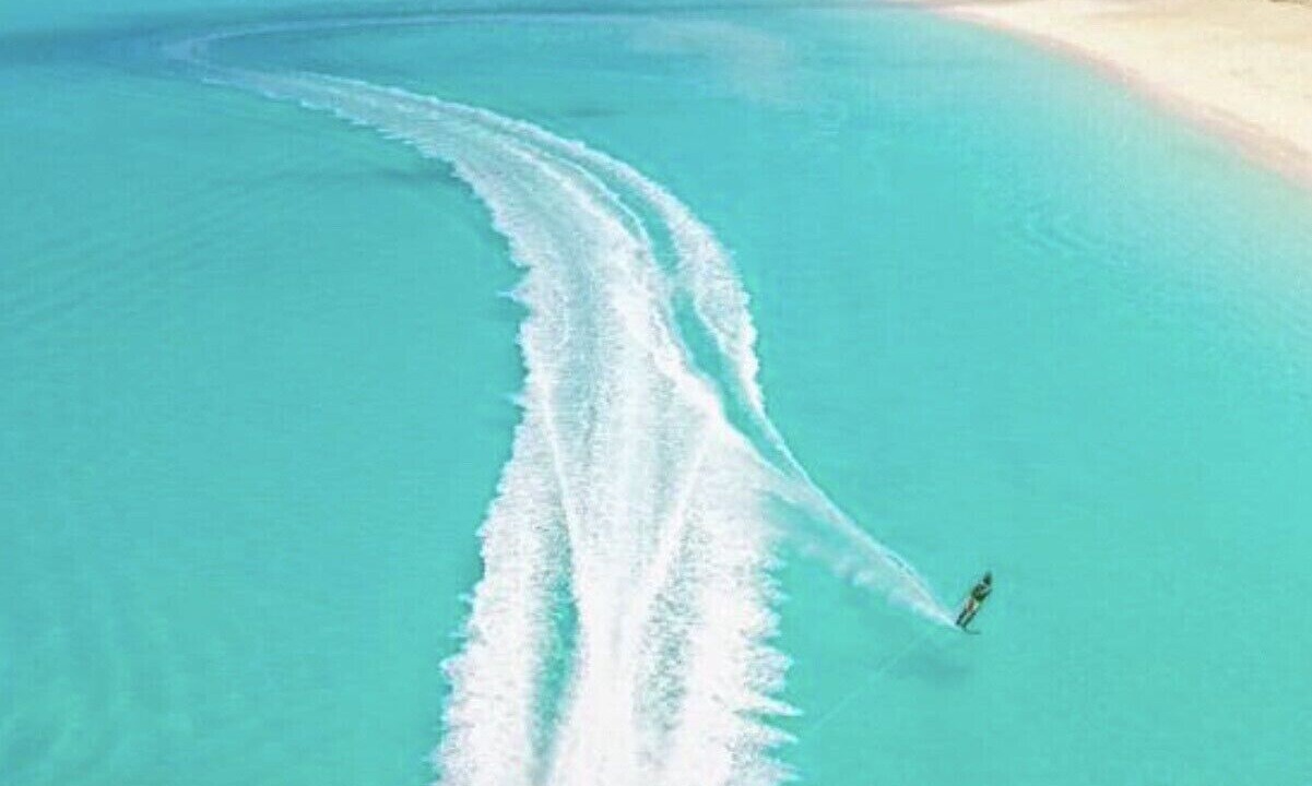 Photo of Others in The Bight