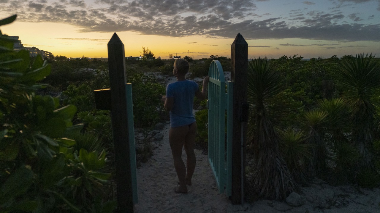 Photo of Others in The Bight